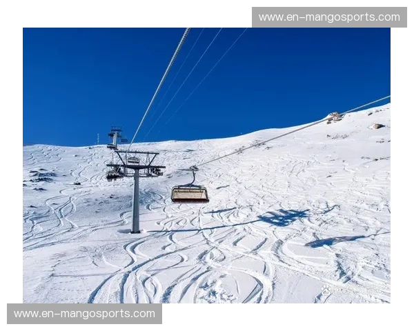 滑雪交锋记录：在雪峰之间写下的速度与策略